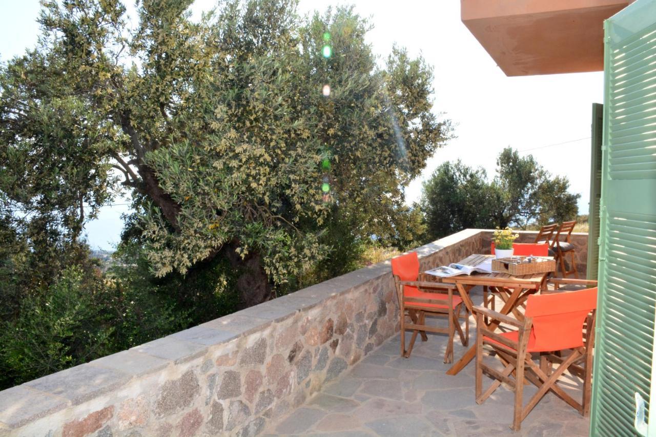 Villa Aegina Colors Sfentouri Esterno foto